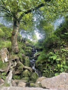 Bronte Waterfall in summer